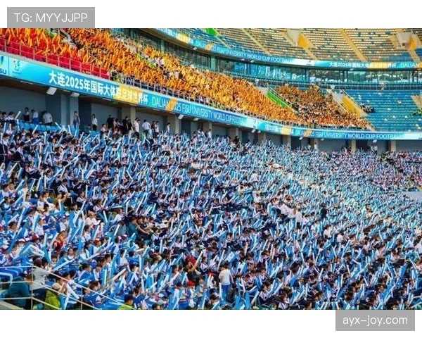 匈牙利国家队闪耀国际赛场,技术足球展现强大实力 匈牙利国家队闪耀国际赛场,技术足球展现强大实力