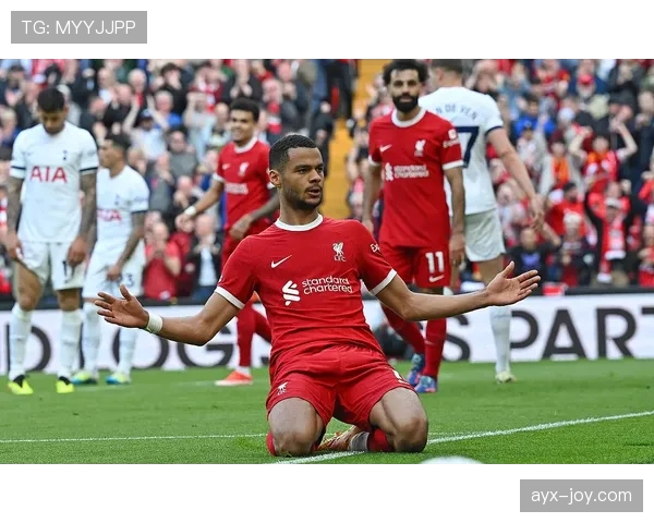 英超焦点战：布莱顿主场迎战利物浦，争四关键三分成焦点