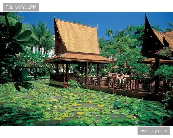 田亮家里那泳池面积怕是比五星酒店还大吧！